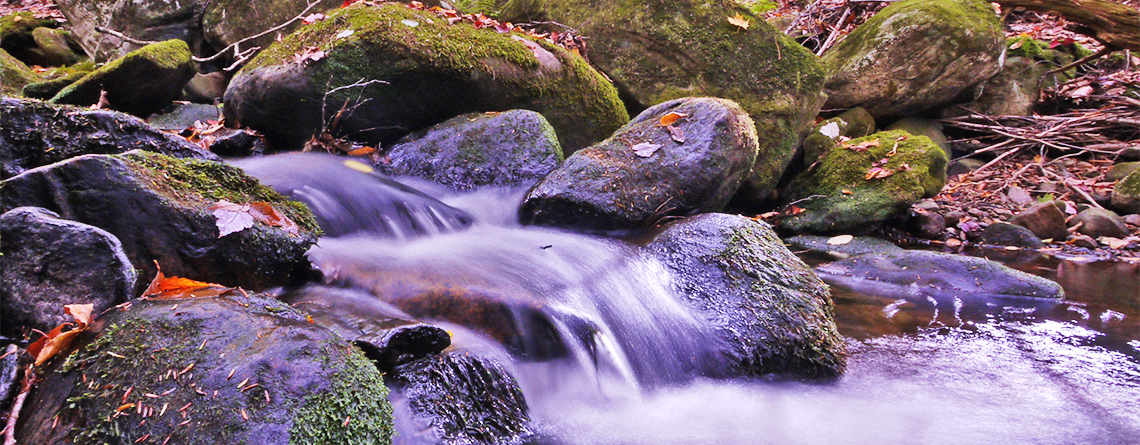 Waterfall at Richardson Brook Wildlife Sanctuary