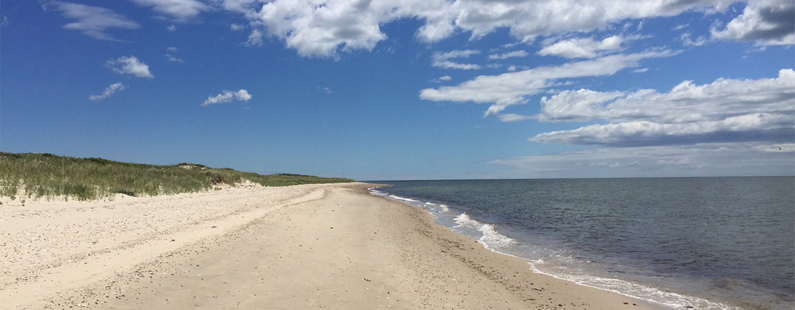 Sandy beach at Sampsons Island Wildlife Sanctuary
