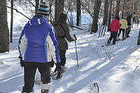 Group snowshoeing at Stony Brook