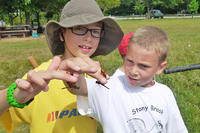 Stony Brook campers holding dragonflies