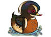 Stony Brook Wildlife Sanctuary's Wood Duck Derby