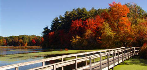 Boardwalk trail at Mass Audubon's Stony Brook Wildlife Sanctuary