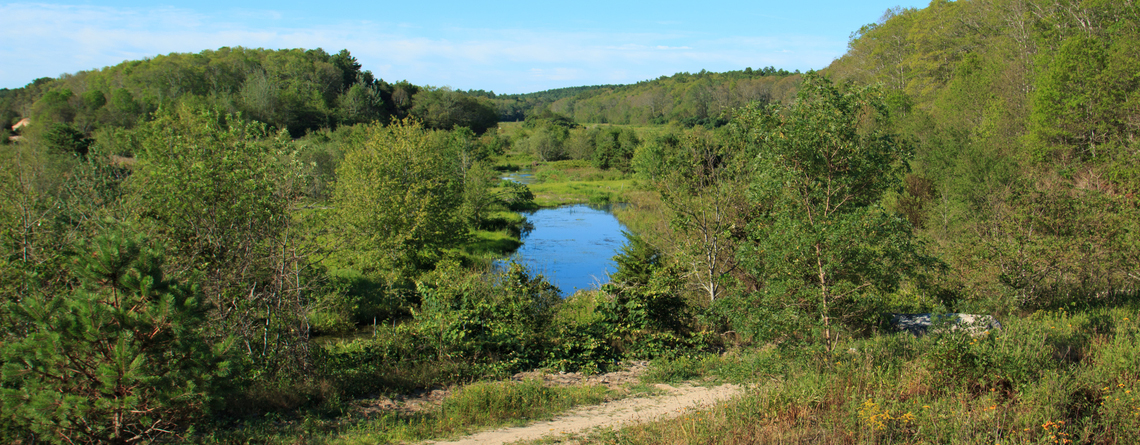 Tidmarsh Wildlife Sanctuary © Kristin Foresto