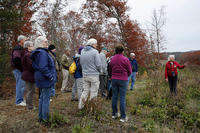 Fall walk at Tidmarsh © Jeanne Lesperance