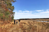 Family walking a trail in fall at Tidmarsh Wildlife Sanctuary
