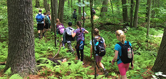 Discoverers on a hike at Wachusett Meadow Summer Camp
