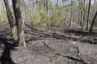Small Wildfire at Waseeka