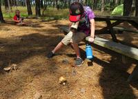 April Vacation Adventures