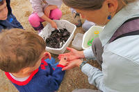 Wellfleet Bay educator helping boy hold a pond critter