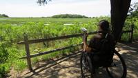 Encouraging More People to Go Birding
