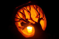 Jack-o-lantern with tree carving
