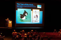 Session about rehabbing alcids from 2019 Cape Cod Natural History Conference