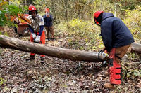 Working to clear a tree that was felled during a bomb cyclone storm in late October 2021