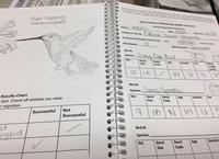 Pages from a student's science journal