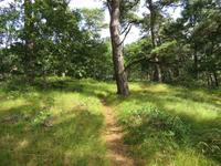 Sharing Wellfleet Bay’s Best-Kept Secret