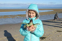 Whiteley student holding a model of a sea turtle