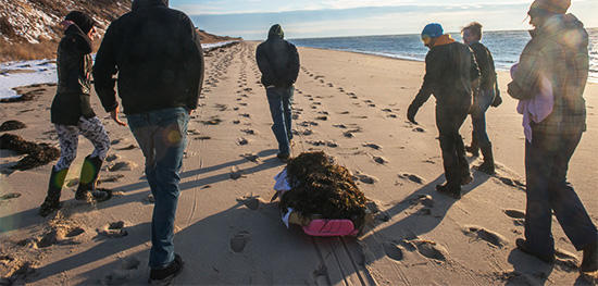 Field School participants with stranded sea turtle © Esther Horvath
