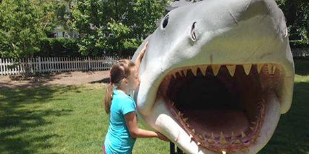 Girl shows some shark love © Atlantic White Shark Conservancy