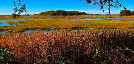 Marsh overlook at Mass Audubon's Wellfleet Bay Wildlife Sanctuary