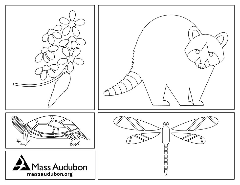 Nature Play Days — Coloring Pages