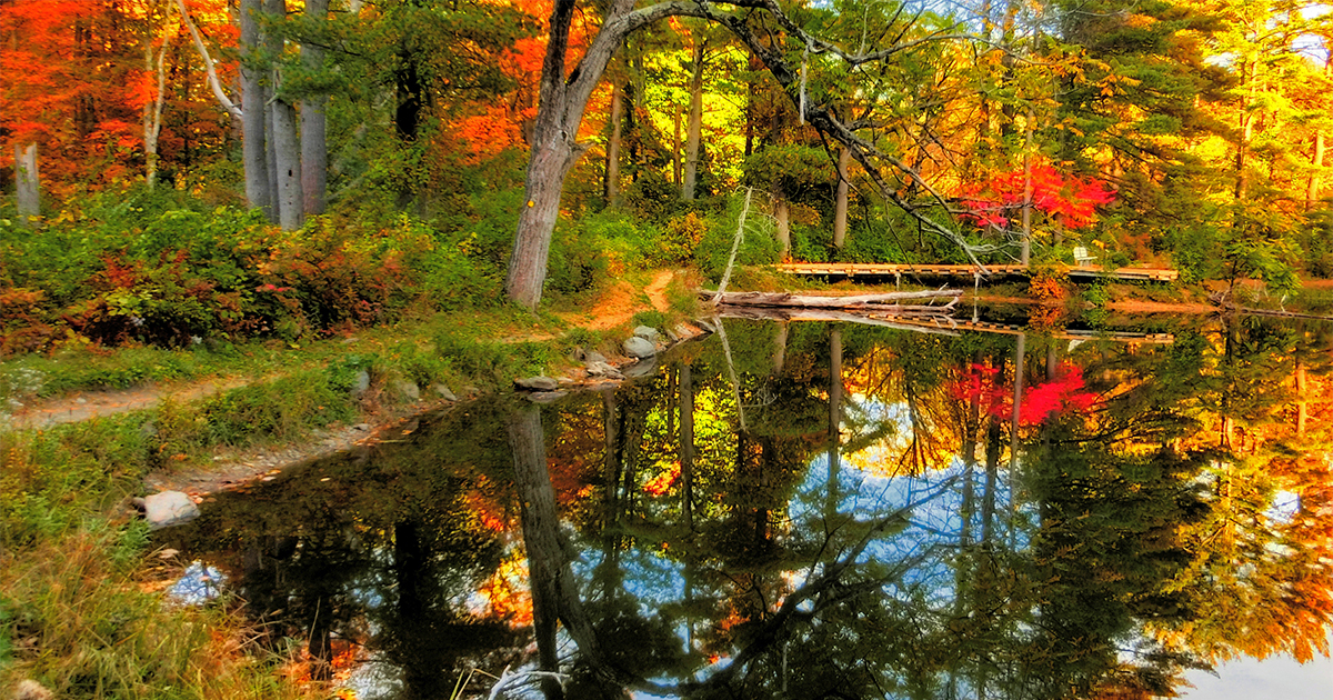 Fall at Its Best in the Berkshires
