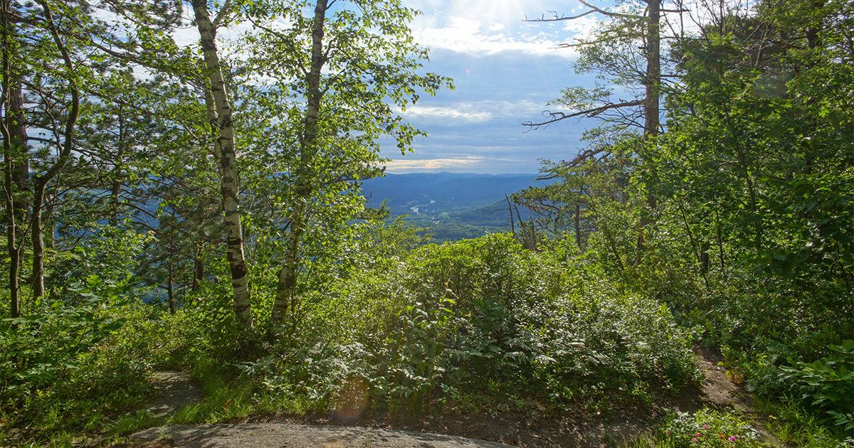 Spring in Bloom in the Connecticut River Valley