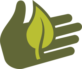Silhouette of a hand holding a leaf
