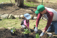Father and daughter at Oak Knoll for 2018 Statewide Volunteer Day