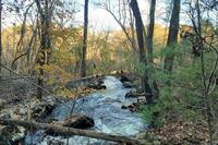 Pequid Brook along Main Loop Trail at MABA