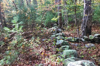 Stone walls & forest on the now-protected McLarey property in Marshfield