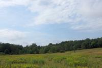 View of a nest box on the hillside at Patten Hill in Shelburne Falls