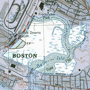 Map of the Belle Isle IBA site