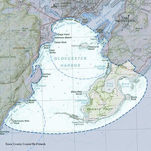 Map of the Eastern Point/Gloucester Harbor IBA site
