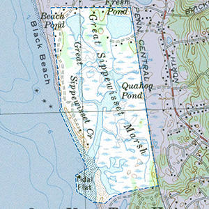 Map of the Great Sippewisett Marsh and Black Beach IBA site