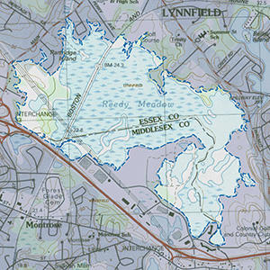 Map of the Lynnfield Marsh IBA site