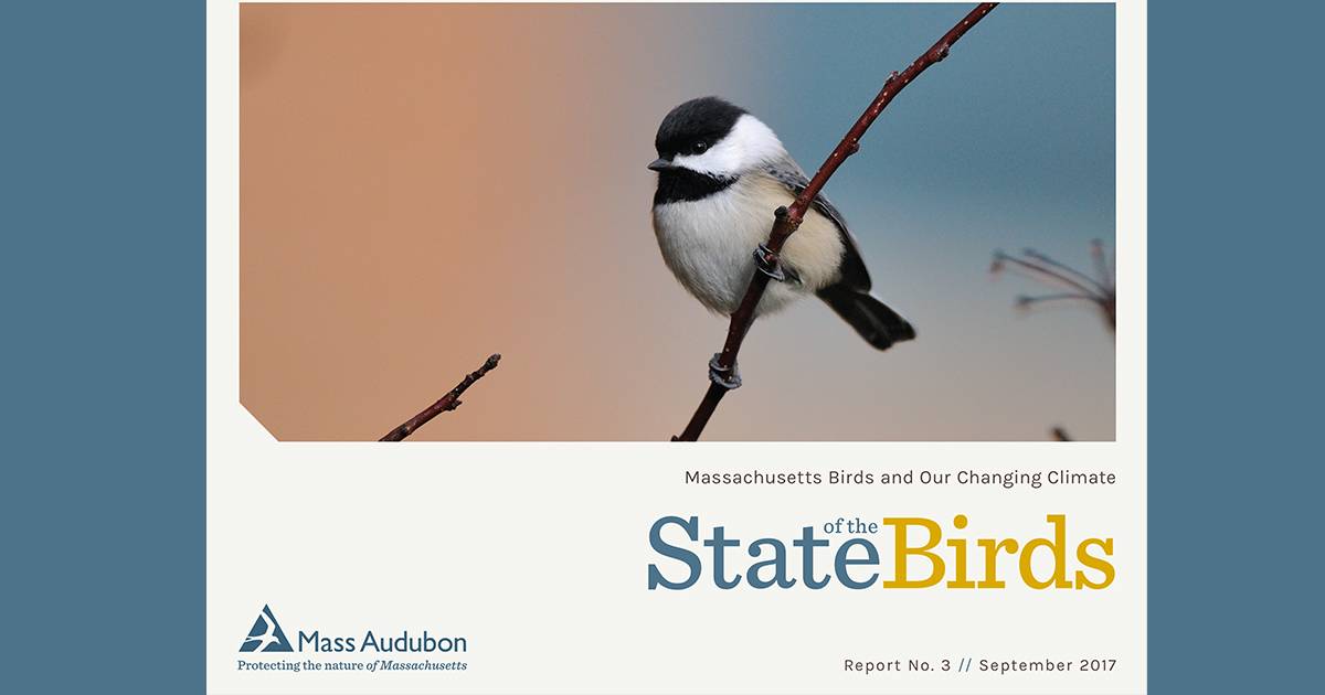 Mass Audubon State Of The Birds 2017