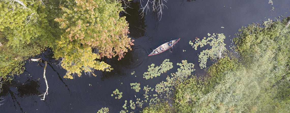 Aerial view of people canoeing at Ipswich River Wildlife Sanctuary