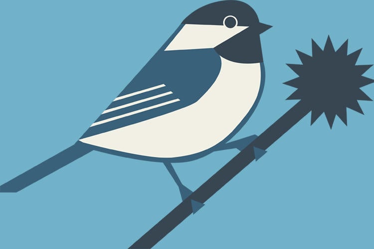 Mass Audubon Shop chickadee icon
