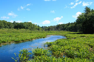 River winding through green marsh