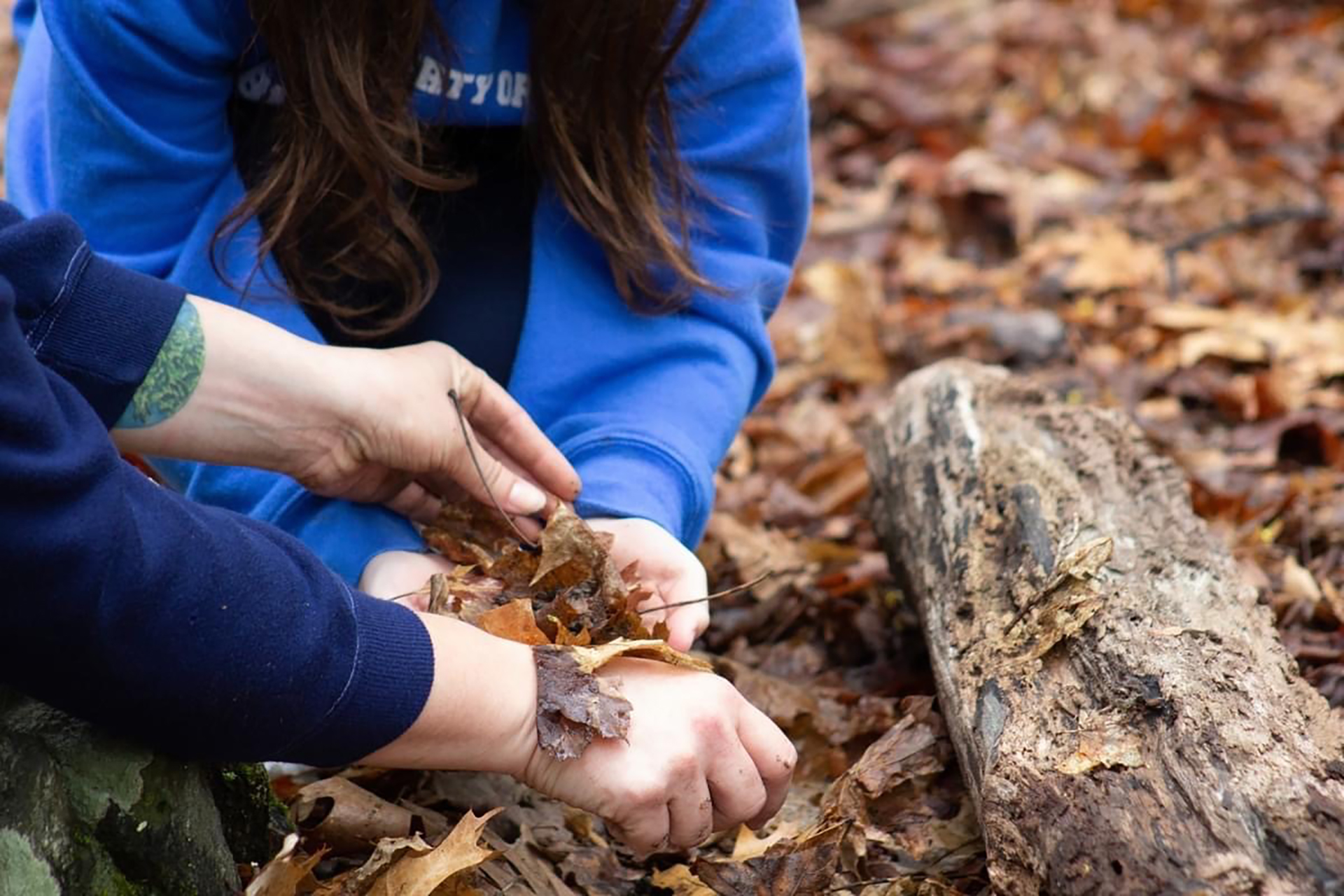 two people inspecting a small pile of leaves