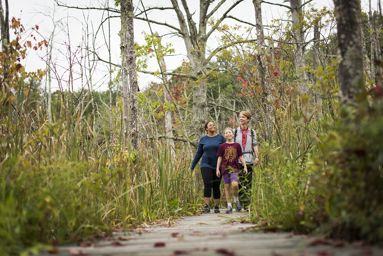 Mom, dad, and daughter walking on a boardwalk surrounded by high vegetation.
