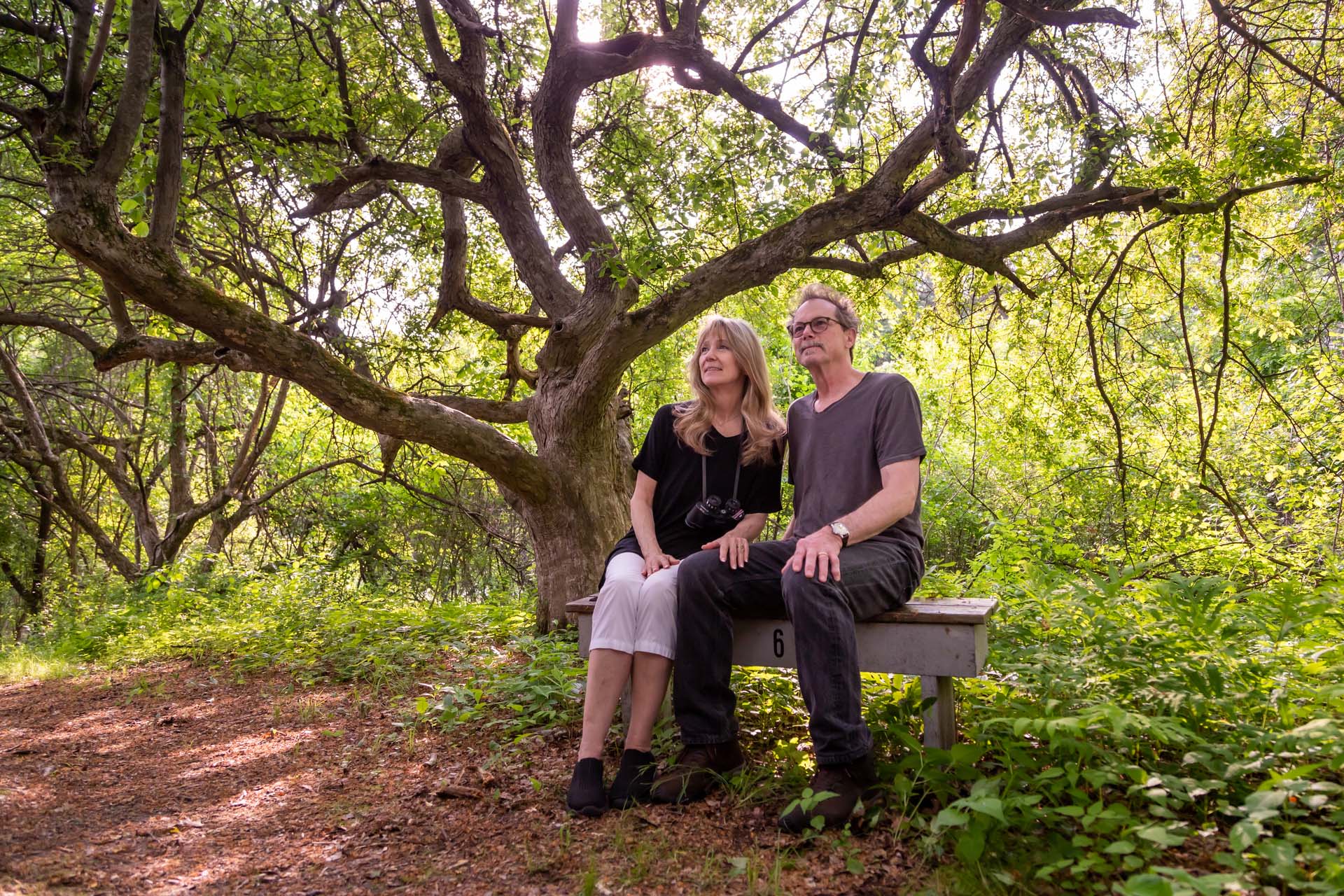 two adults on bench in front of tree