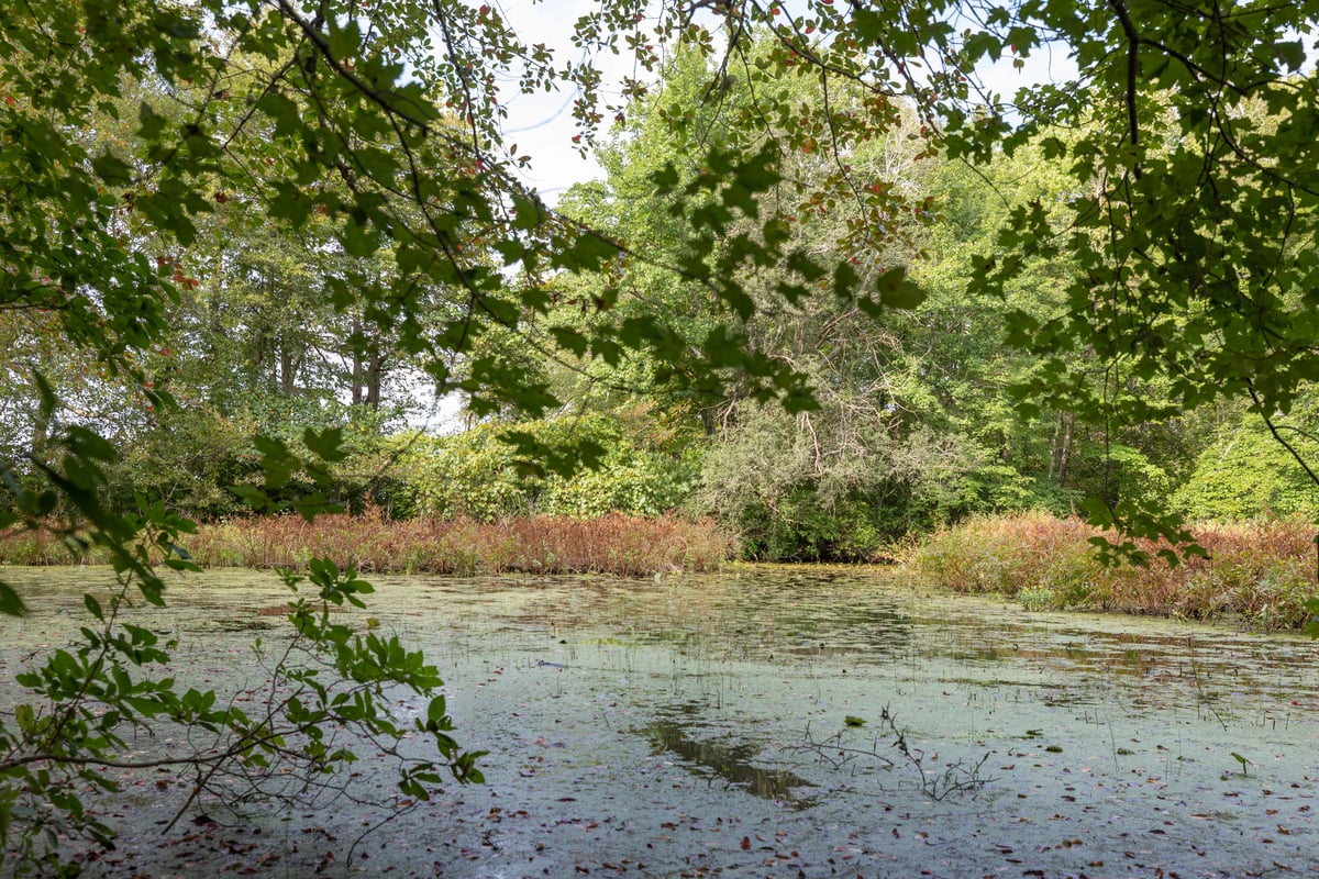 Pond at Barnstable Great Marsh