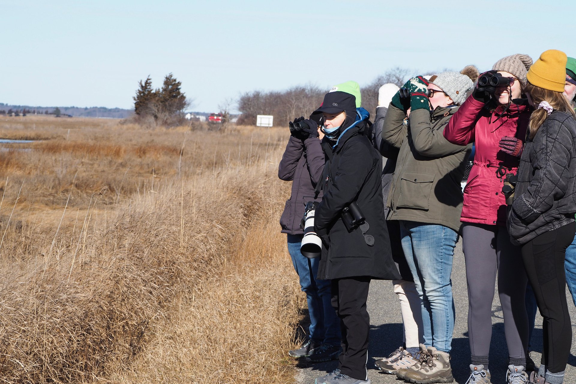 Group huddle together and birding