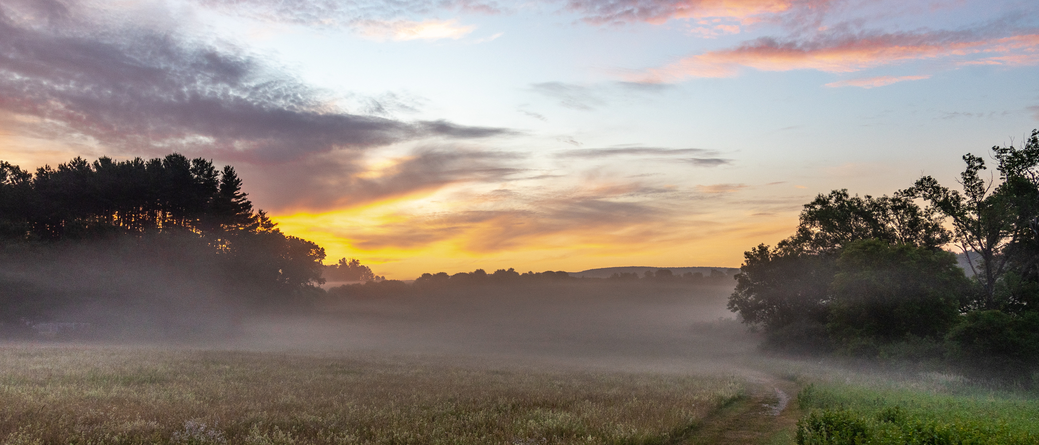 Fog hovers over a meadow surrounded by a forest during sunrise.