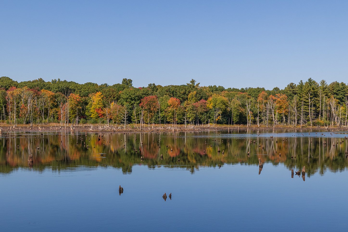 Waseeka Pond with Tree Fall Foliage and blue sky