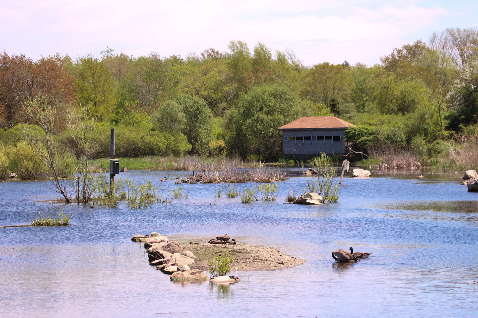 bird blind overlooking wetland