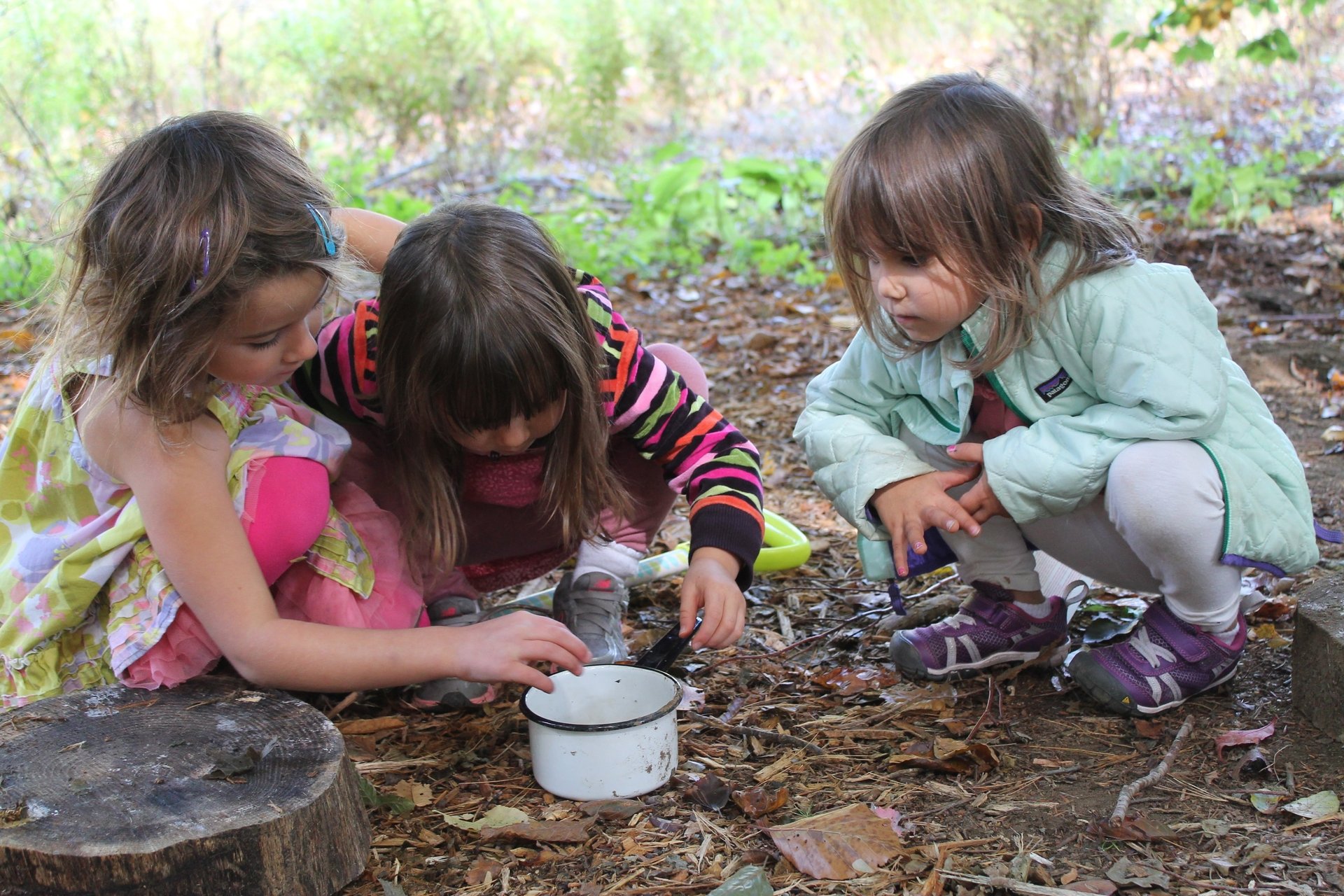 three preschool girls looking at a bowl outside