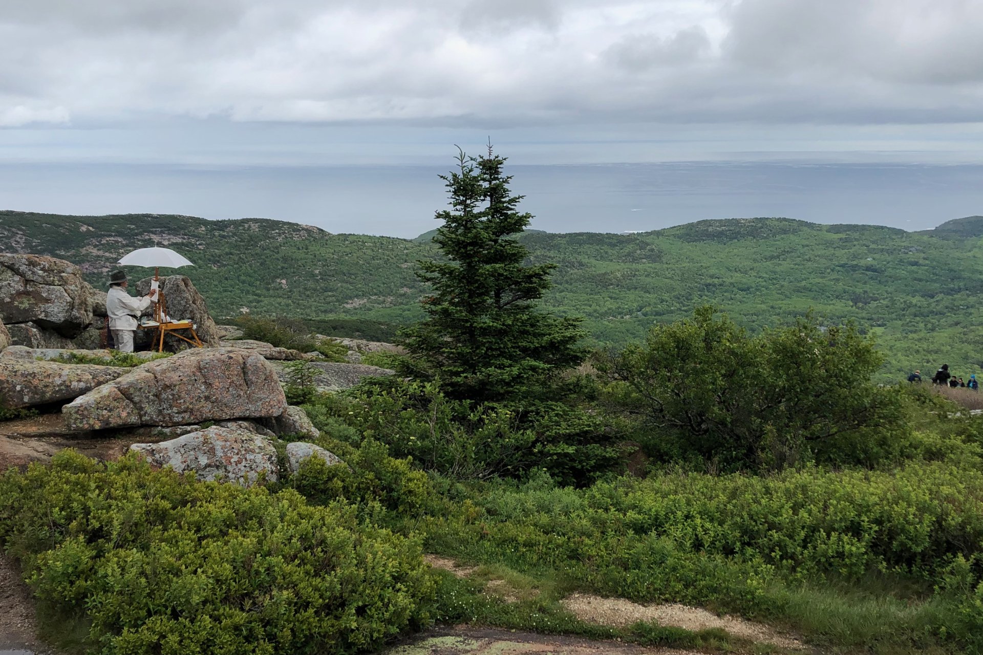 A person on the left, artist Julia Yoshida, is shielded by an umbrella as they paint plein-air. They are overlooking the vast green landscape of Acadia National Park in Maine.