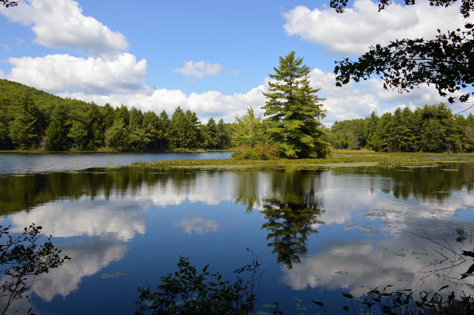 Pond reflects the blue cloudy sky and pine trees surrounding the banks.